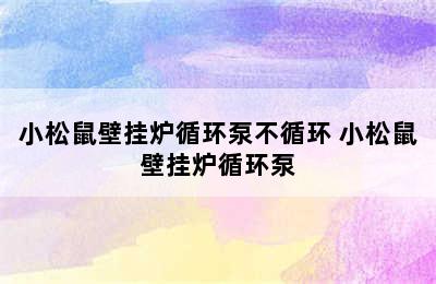 小松鼠壁挂炉循环泵不循环 小松鼠壁挂炉循环泵